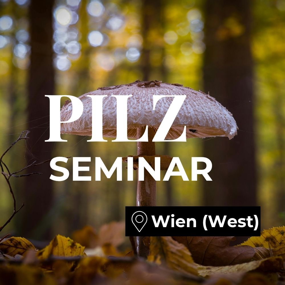 Pilzseminar Wien West: Pilze erkennen, bestimmen & verstehen