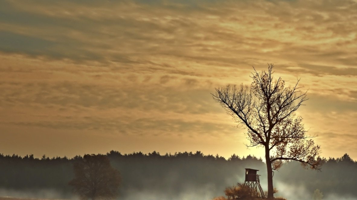 Hochsitz auf einem Feld. 