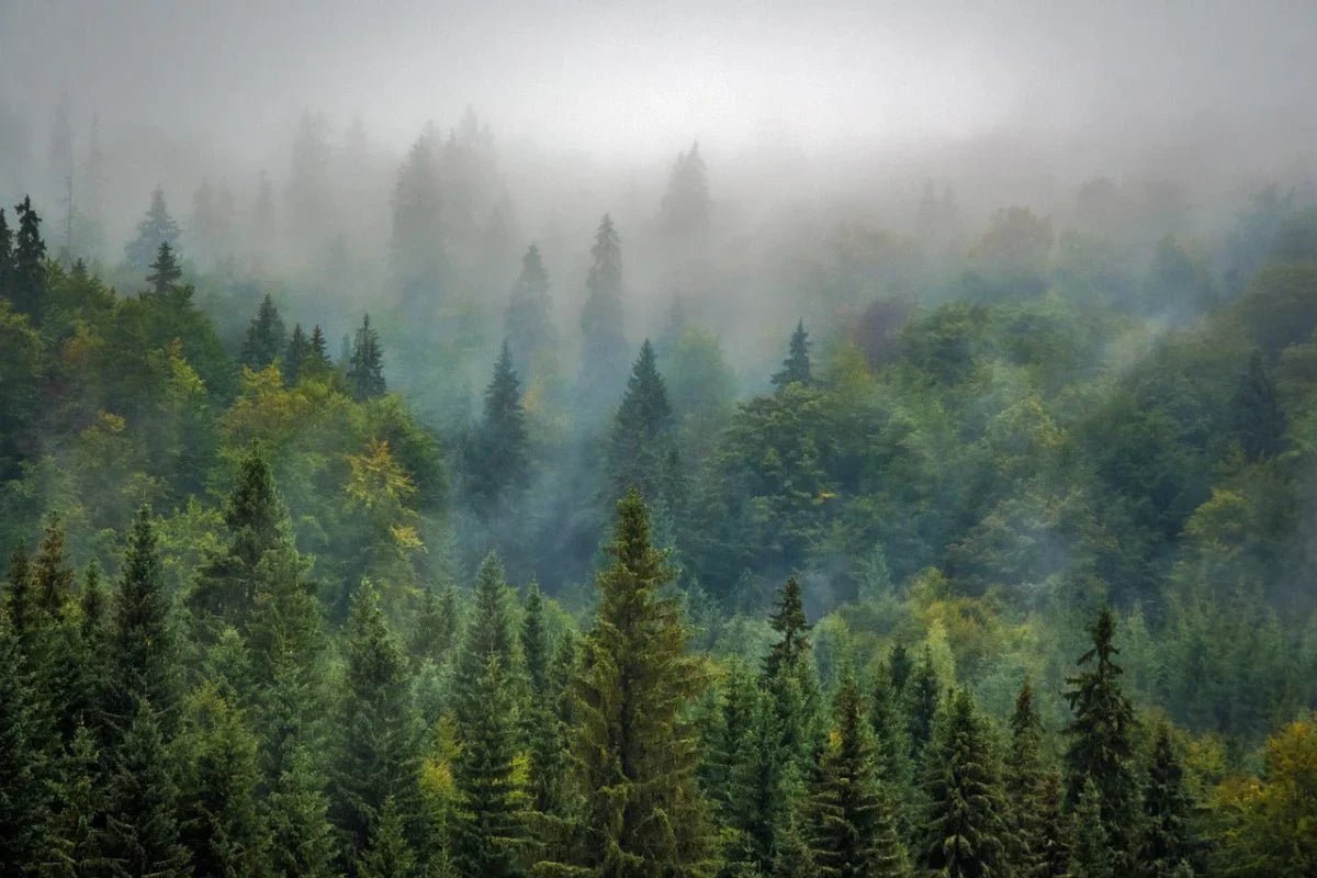 Oberbergisches Land - Wildschytz