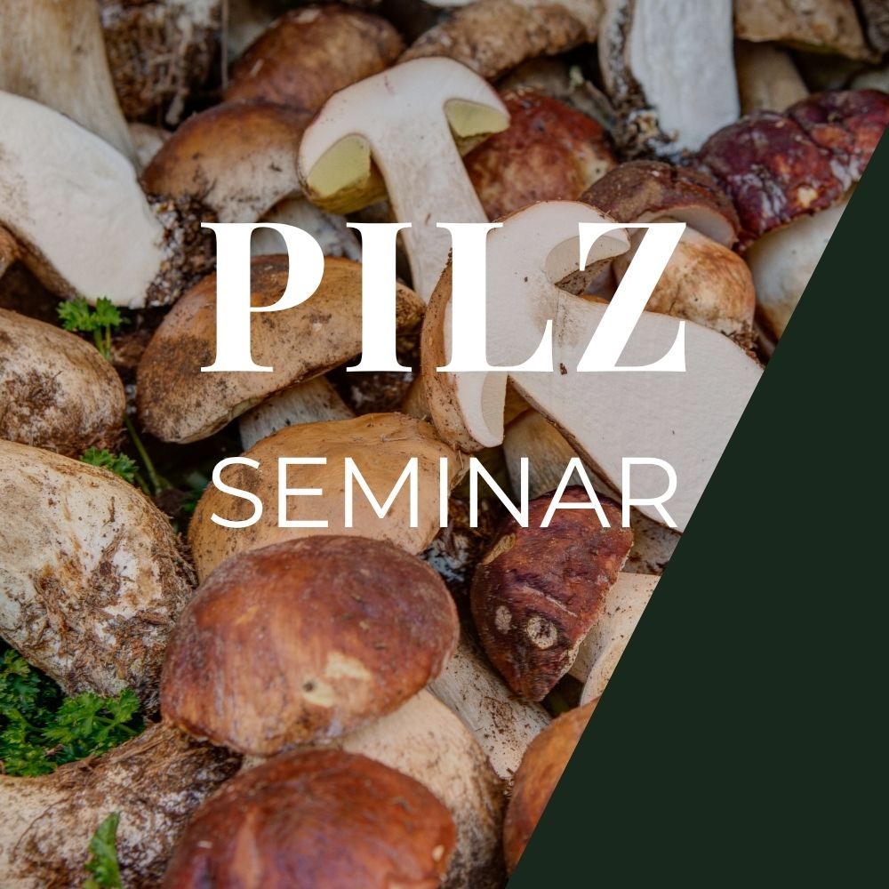 Pilzseminar Graz: Pilze erkennen, bestimmen & verstehen
