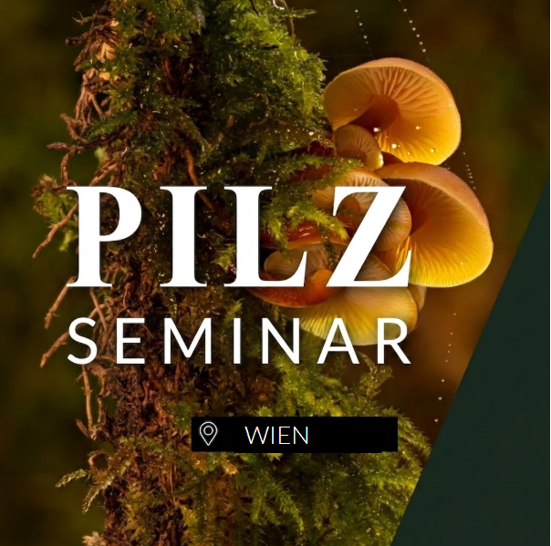 Pilzseminar Wien: Pilze erkennen, bestimmen & verstehen