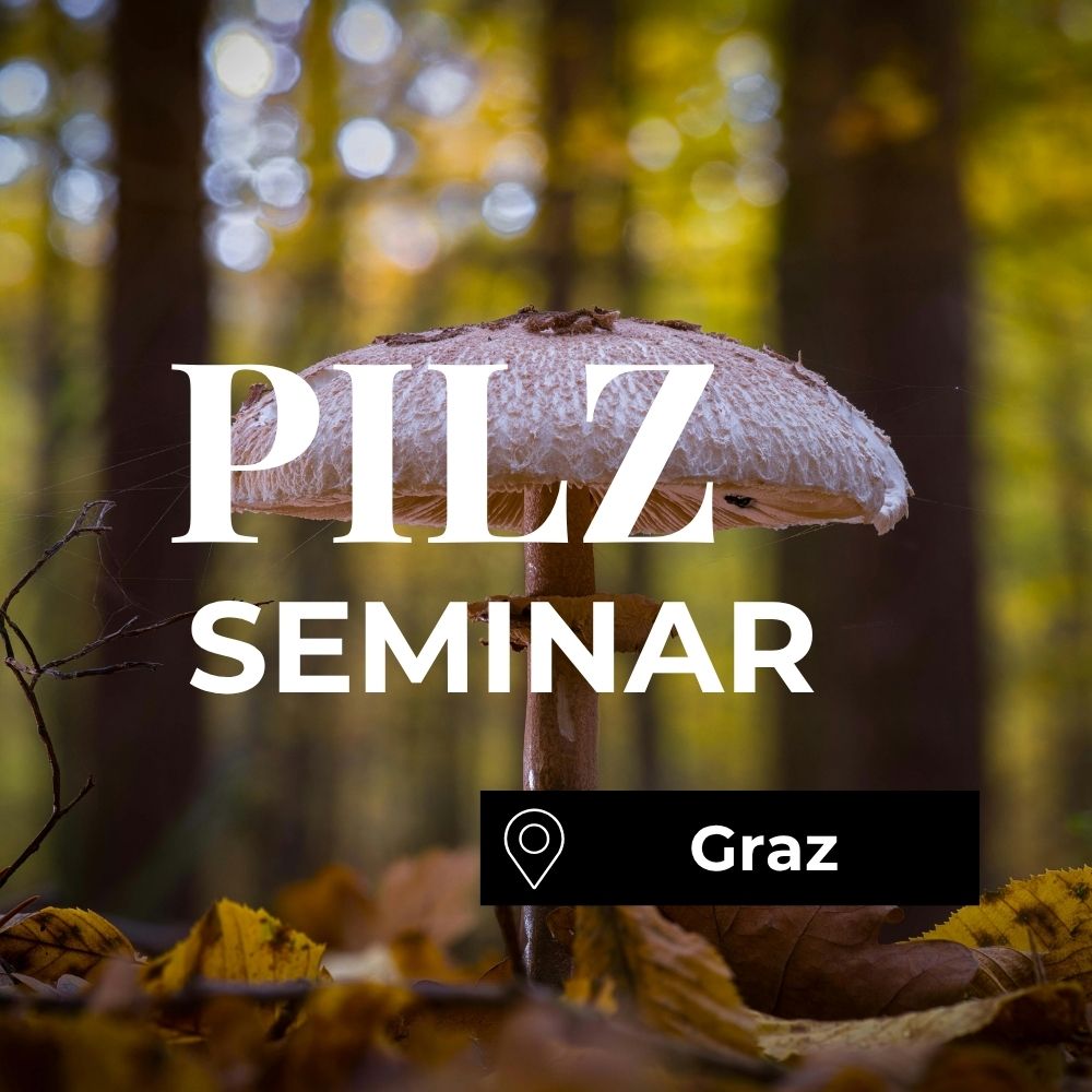 Pilzseminar Graz: Pilze erkennen, bestimmen & verstehen