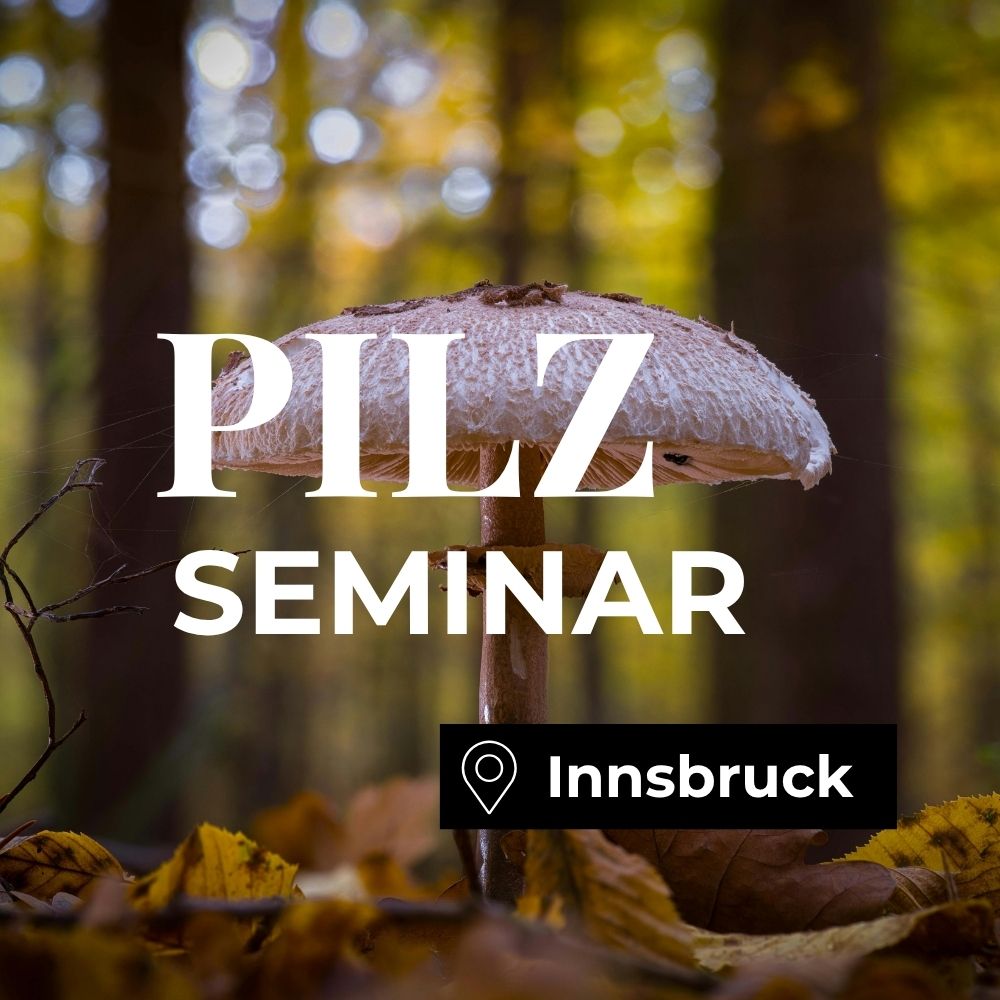 Pilzseminar Innsbruck: Pilze erkennen, bestimmen & verstehen
